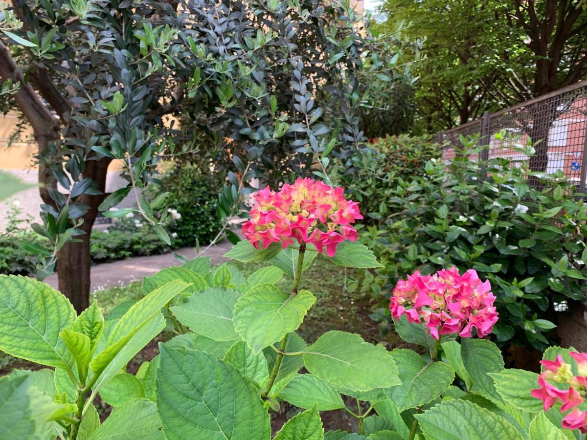 베로나 Casa Beraldini 아파트 외부 사진