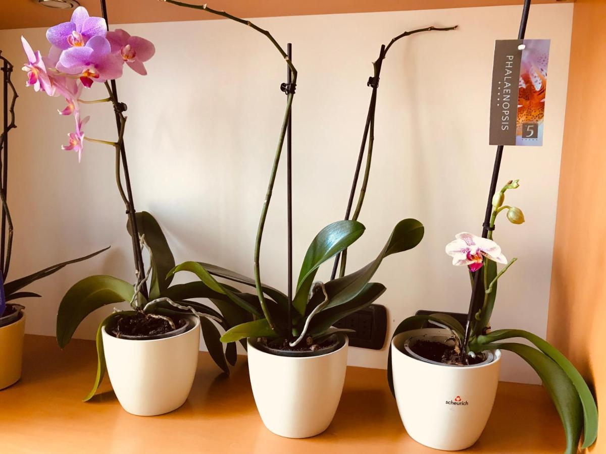 베로나 Casa Beraldini 아파트 외부 사진
